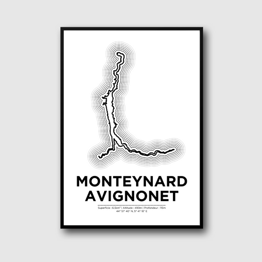 Affiche du lac de Monteynard