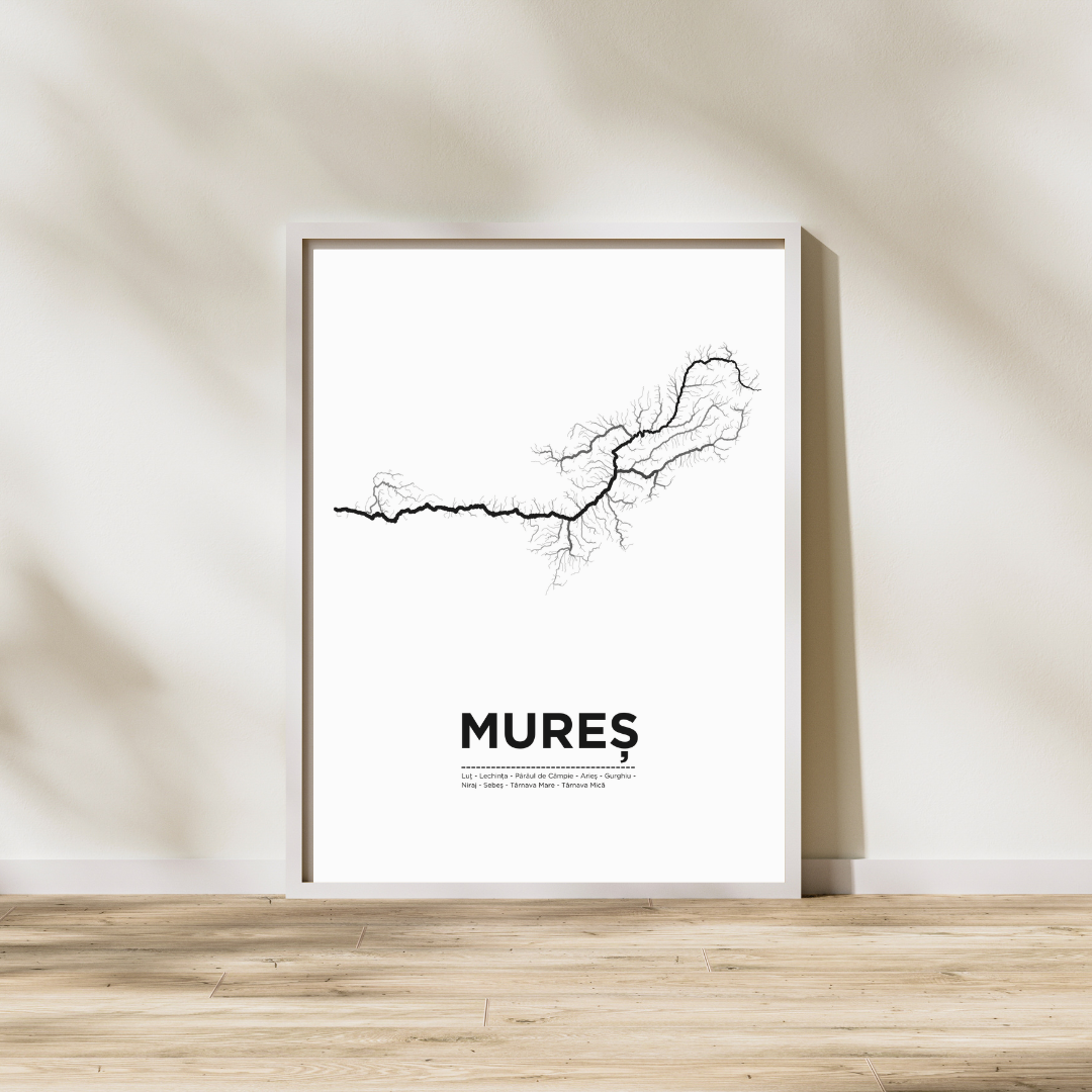 Affiche du Mures